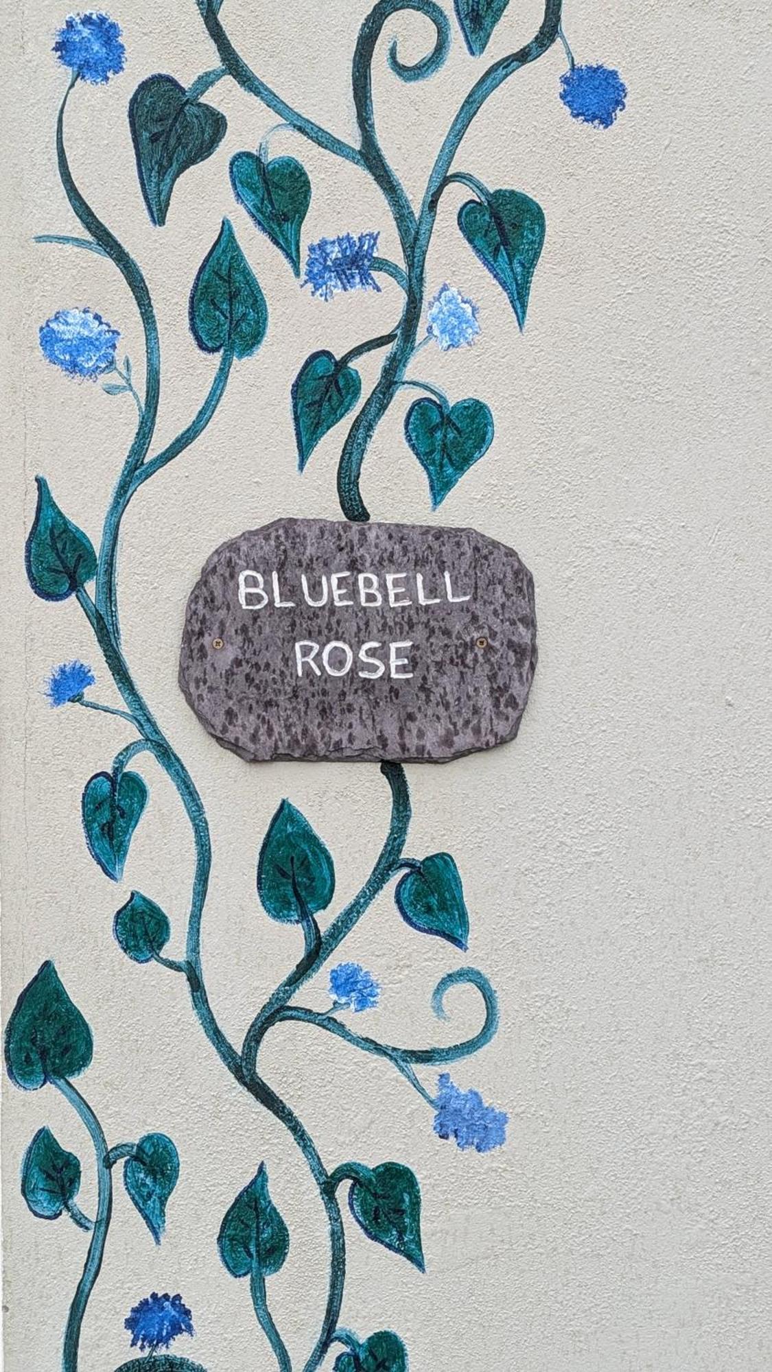 Skellig View Bluebell Rose & The Kerry Cliffs Apartment Portmagee Luaran gambar